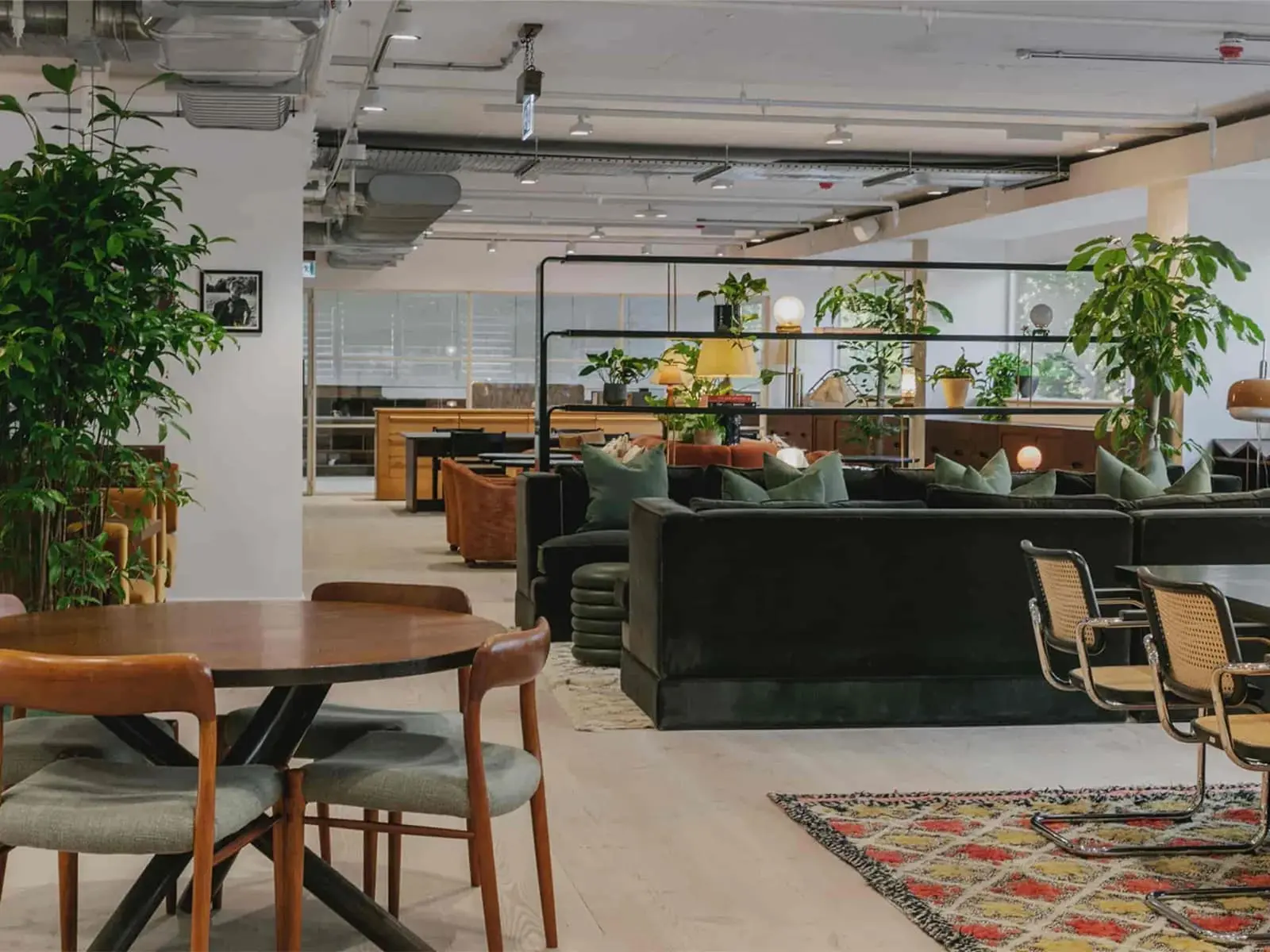 A plant-filled co-working lounge with tables and sofas